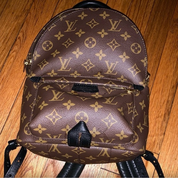 Louis Vuitton 
Monogram Palm Springs Backpack PM - Picture 9 of 15